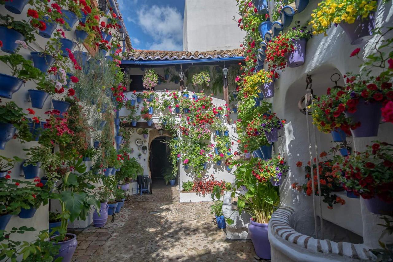 Victoria House Cordoba Rivera Экстерьер фото